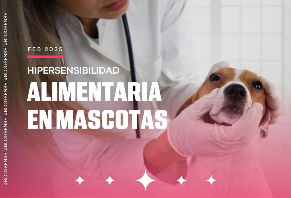 Hipersensibilidad alimentaria en mascotas